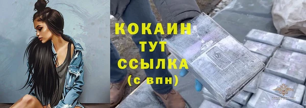 тгк Алзамай